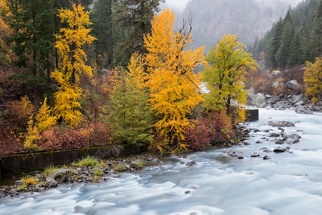 L&#39;autunno in Leavenworth ha caratterizzato con il flusso del fiume e la nebbia