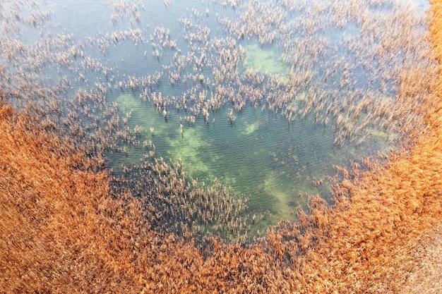 L'ecosistema del fiume è stato distrutto dalle emissioni nocive dell'impianto di estrazione e lavorazione.