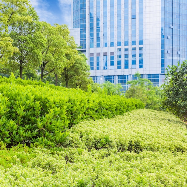 l&#39;edificio moderno riflette la natura