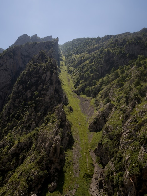 L'erba ha coperto la montagna di estate di raggi del sole