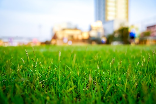 L'erba nel campo di calcio con il giocatore di sfocatura gioca a calcio sullo sfondo.