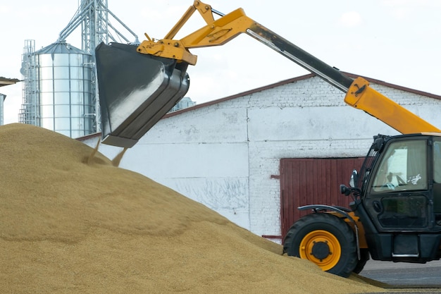 L'escavatore carica il grano con una grande benna per la lavorazione e l'essiccazione nell'agro stabilimento di produzione di prodotti agricoli Barili di ferro con grano e silos per cereali dell'elevatore Silos d'argento