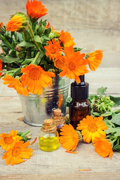 L&#39;estratto di calendula. Piante medicinali. Messa a fuoco selettiva