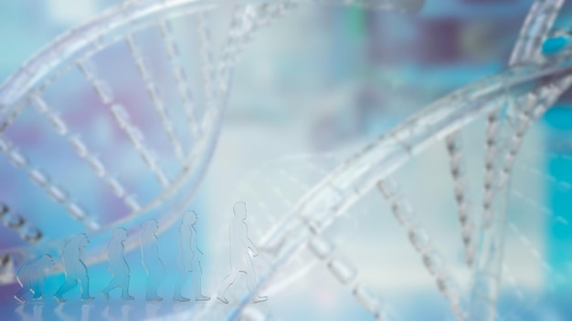 L'evoluzione umana sul rendering 3d dello sfondo del DNA