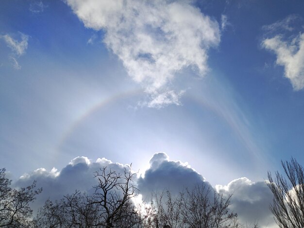 L'halo è il fenomeno ottico prodotto dall'interazione della luce con i cristalli di ghiaccio sospesi nell'atmosfera tra gli halo più noti c'è l'halo circolare propriamente detto