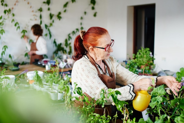 L'hobby delle donne. La nonna squirta e si prende cura delle piante e dei fiori domestici