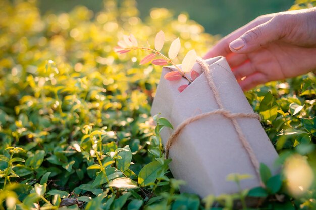 L'imballaggio dei regali è realizzato con materiali naturali riciclati e ecologici