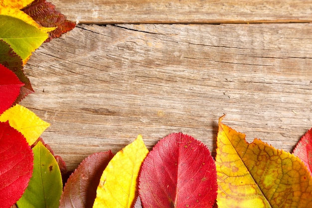 L'immagine delle foglie di autunno sopra fondo strutturato di legno