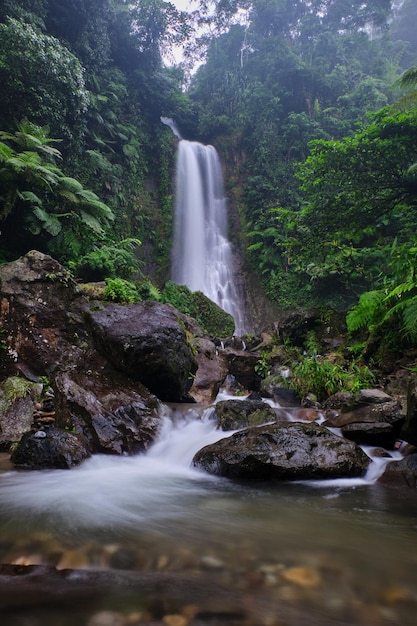 L'incantevole cascata di Saderi si trova a Bogor, a Giava occidentale, in Indonesia