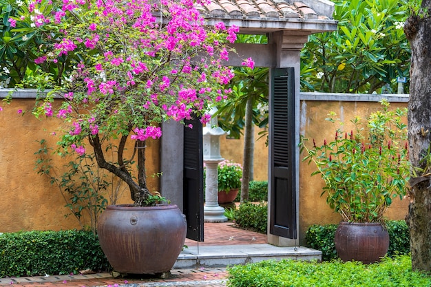 L'ingresso è nella recinzione di pietra gialla e bellissimi fiori rosa sulla strada nel villaggio vicino alla città di Da Nang, Vietnam, primo piano