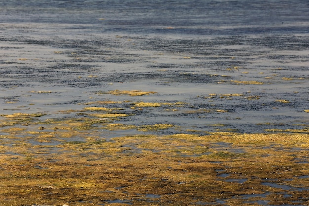 L'inquinamento idrico è la contaminazione delle fonti idriche da parte di sostanze