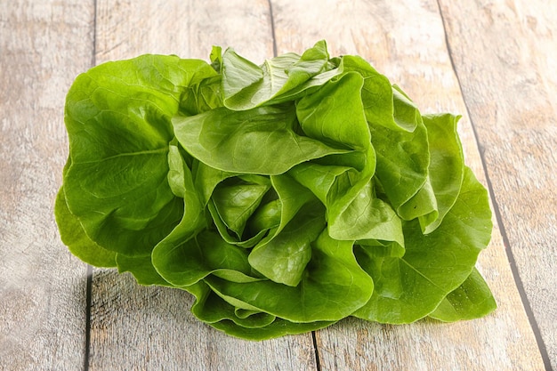 L'insalata verde lascia un mucchio per lo spuntino