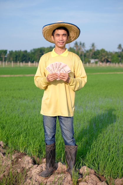 L'intero corpo dell'agricoltore asiatico indossa una camicia gialla in piedi e tiene in mano banconote tailandesi in una fattoria di riso verde