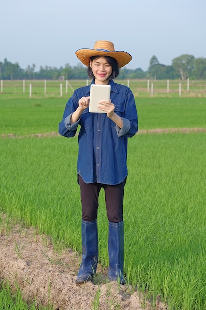 L'intero corpo di una contadina asiatica in piedi e con in mano un tablet smartphone in una fattoria di riso verde