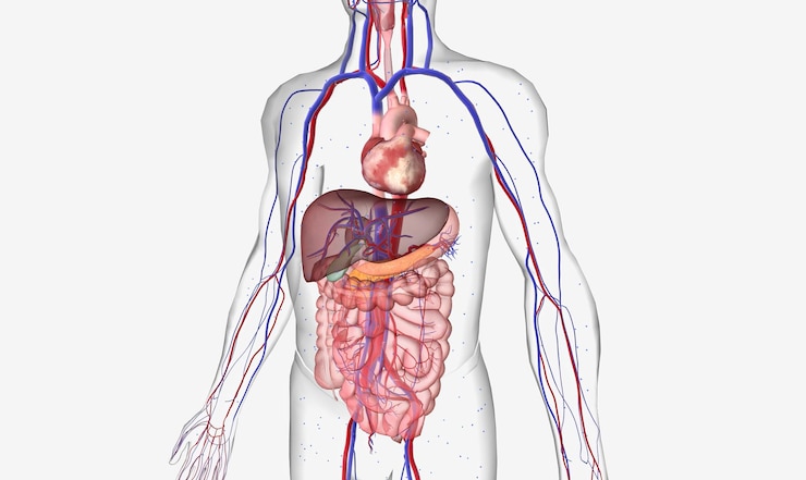 Foto l'ipoglicemia è una condizione caratterizzata da bassi livelli di glucosio nel sangue