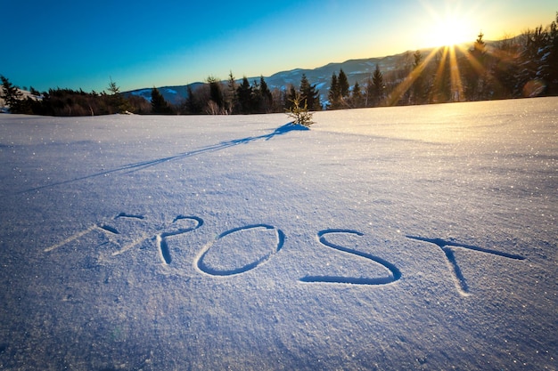 L'iscrizione Gelo sulla neve vicino alla foresta