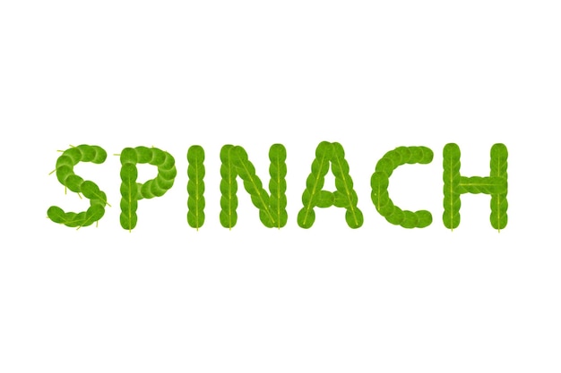 L'iscrizione Spinaci di foglie di spinaci verdi Motivo bonatico naturale a base di foglie