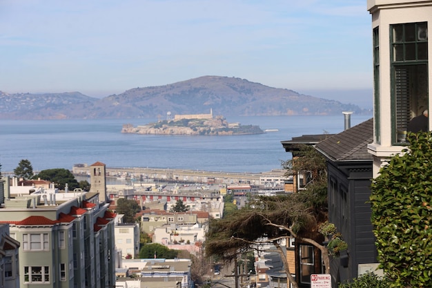 L'isola di Alcatraz e la città di San Francisco dal parco Ina Coolbrith