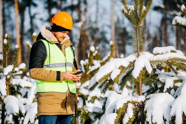 L'ispettore forestale ispeziona i terreni forestali