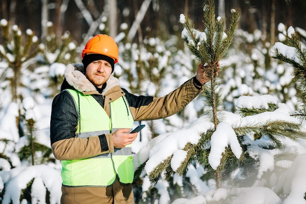 L'ispettore forestale ispeziona i terreni forestali