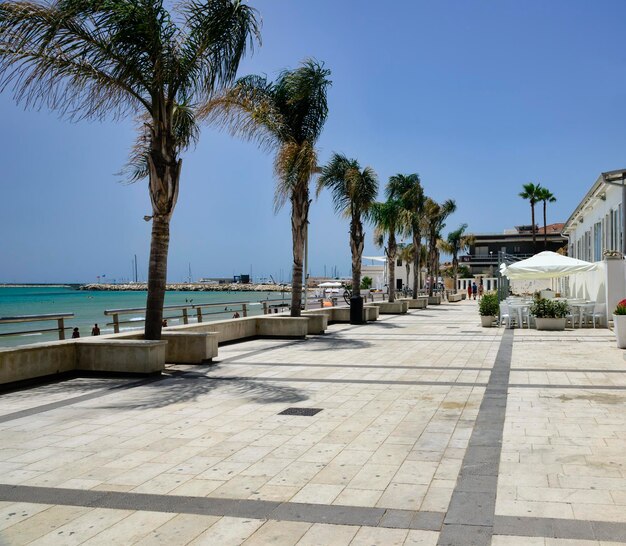 L'Italia, Sicilia, mare Mediterraneo, Marina di Ragusa (provincia di Ragusa), vista sul lungomare con palme