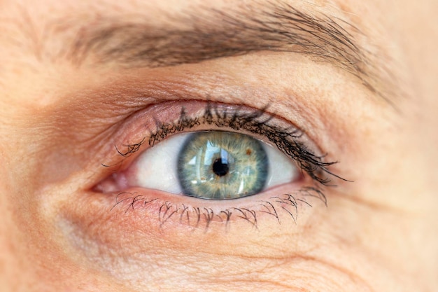 L'occhio blu verde di una donna di mezza età Closeup vista frontale