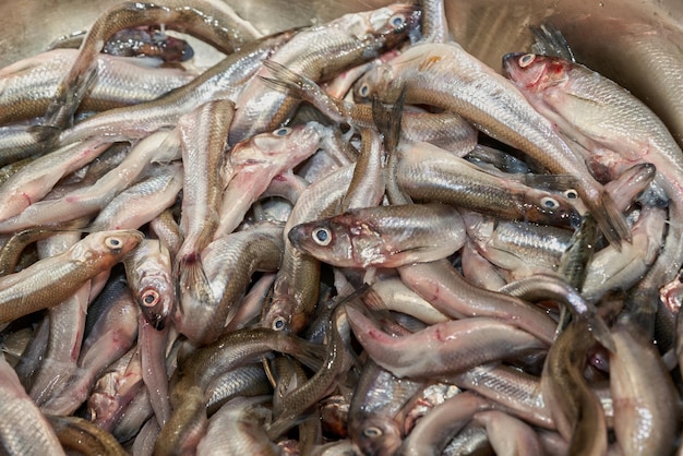 L'odore di piccoli pesci viene fritto in padella