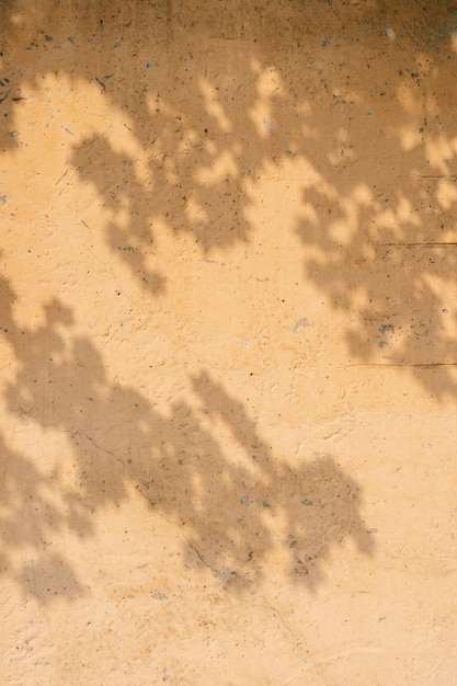 L'ombra delle foglie dell'albero sulla vecchia parete beige