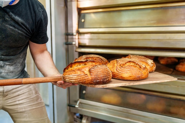 L'operaio irriconoscibile estrae le pagnotte di pasta madre appena sfornate utilizzando una paletta nella panetteria artigianale