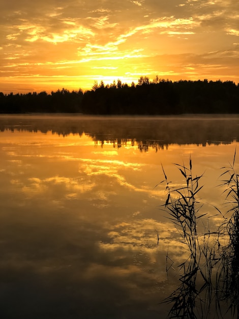 L'ora d'oro del tramonto sul lago, il cielo si riflette sulla superficie dell'acqua ferma, la linea della foresta scura si staglia all'orizzonte