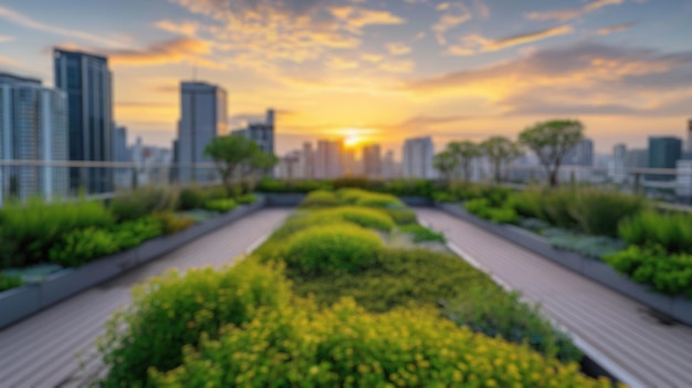 L'orizzonte sfocato del tramonto dal giardino sul tetto urbano risplende