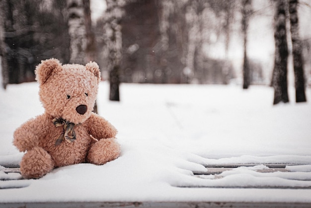 L'orso giocattolo è stato lasciato in inverno nel parco giochi per bambini