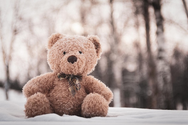 L'orso giocattolo è stato lasciato in inverno nel parco giochi per bambini