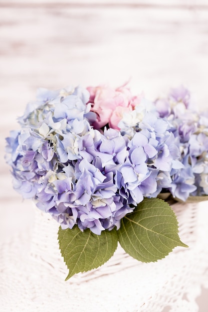 L'ortensia blu fiorisce nel canestro bianco. Decorazioni floreali per la casa