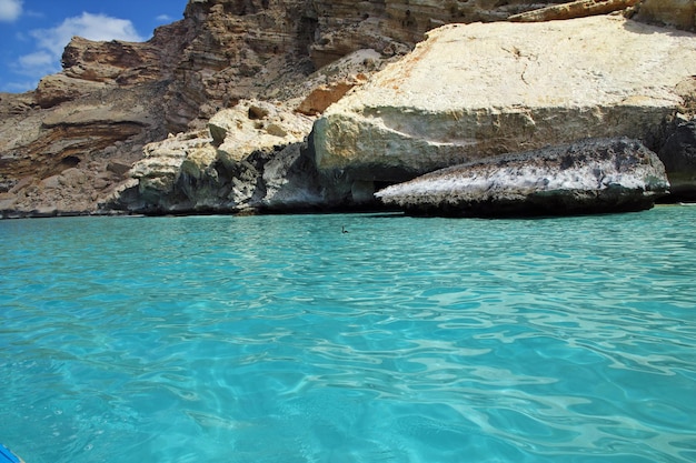 L'uccello nella baia di Shuab sull'isola di Socotra Oceano Indiano Yemen