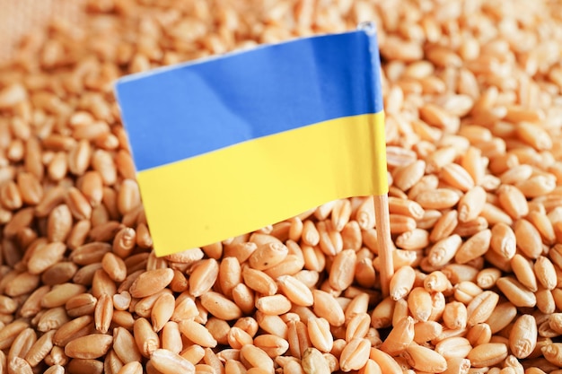 L'Ucraina sul concetto di esportazione e di economia del commercio di grano di grano