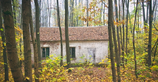 L'unica casa di mattoni abbandonata nella foresta d'autunno