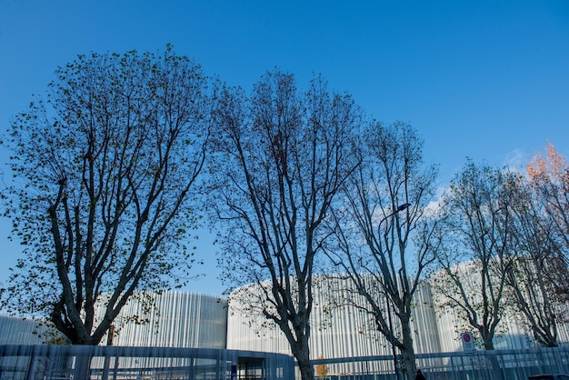 L'Università Bocconi di Milano ha caratterizzato una vasta area del tessuto urbano con i suoi vari edifici