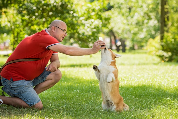 L'uomo adulto sta addestrando il suo cane pembroke welsh corgi al parco cittadino
