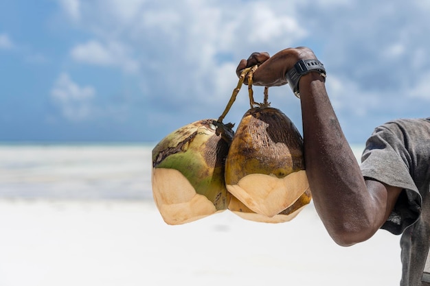 L'uomo africano tiene noci di cocco fresche per i turisti sulla spiaggia di sabbia Zanzibar Tanzania primo piano dell'isola di Zanzibar Tanzania Africa orientale