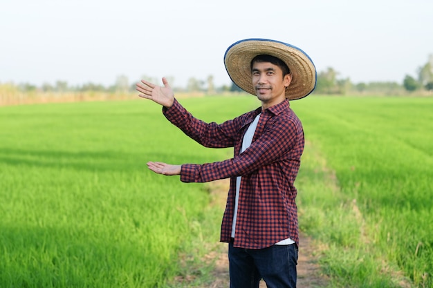 L'uomo asiatico del coltivatore in piedi e alza il punto della mano a lato alla fattoria del riso verde