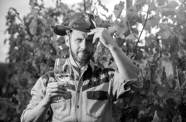 L'uomo barbuto dell'enologo con il cappello tiene il bicchiere di vino al benvenuto all'aperto della vigna