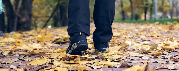 L'uomo cammina nel parco d'autunno. Vista dall'alto dello stivale da trekking. Close-up Legs In J scarpe da trekking sportive nella foresta