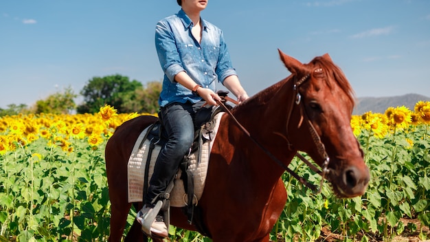 L'uomo cavalca il cavallo nel campo di girasoli su uno sfondo blu cielo - libertà e felicità.