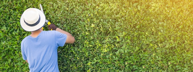 L'uomo che lavora nel giardino sta potando gli alberi ornamentali a casa nella mattina