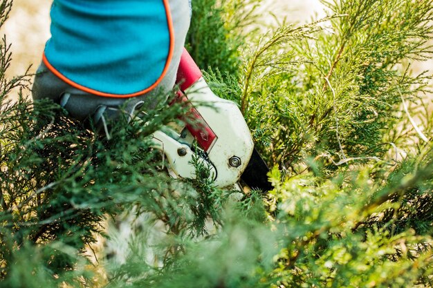 L'uomo con i guanti taglia i rami di un albero che si prende cura del giardino