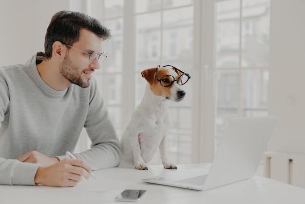 L'uomo d'affari concentrato nel display del computer portatile annota le note funziona con la posa preferita dell'animale domestico nell'home office indossa gli occhiali lavora freelance La gente lavora il concetto di animali tecnologici