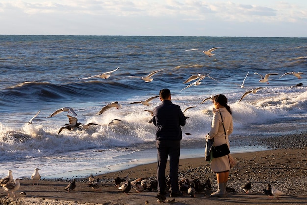 L'uomo e la donna nutrono i gabbiani in riva al mare in primavera