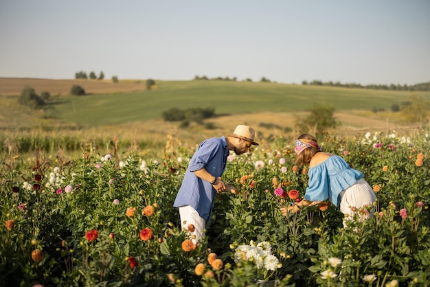 L'uomo e la donna raccolgono i fiori in una fattoria all'aperto