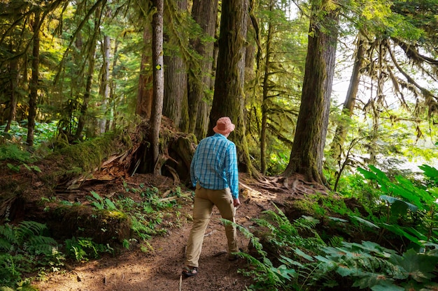 L'uomo escursionismo baia il sentiero nella foresta.